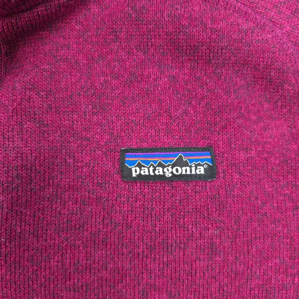 Patagonia Raspberry Half-Zip Teddy Fleece Pullover - Picture 4 of 13